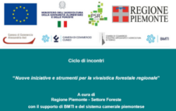 Nuove iniziative e strumenti per la vivaistica forestale regionale