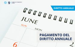 Diritto annuale 2025