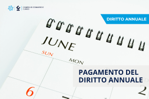 Diritto annuale 2025 Diritto annuale 2025